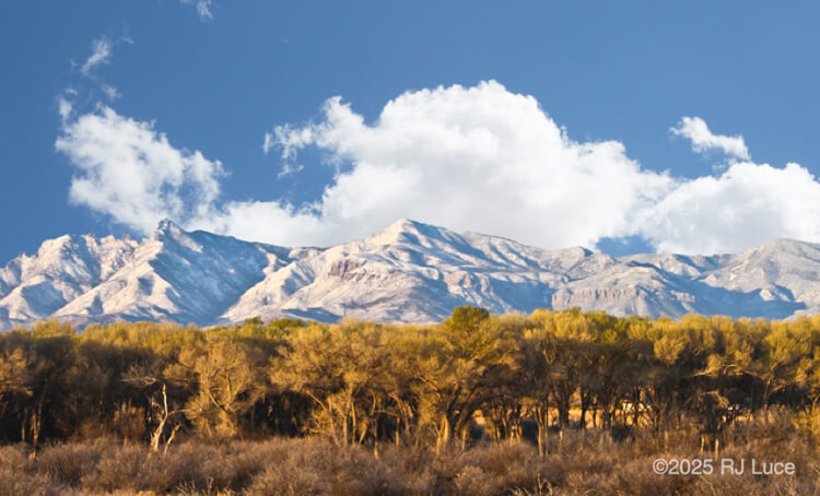 Huachuca Mountains, Arizona