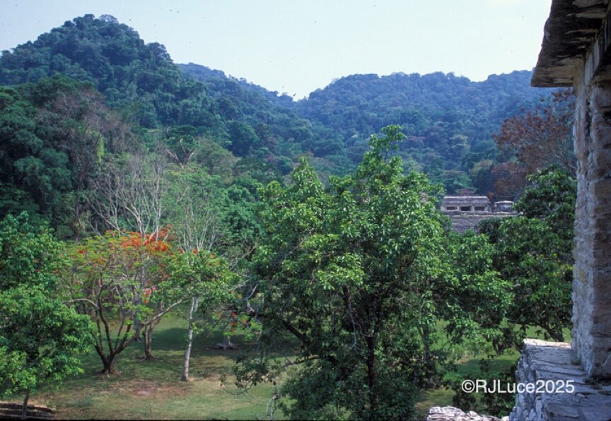Jungle Ruins, Mexico