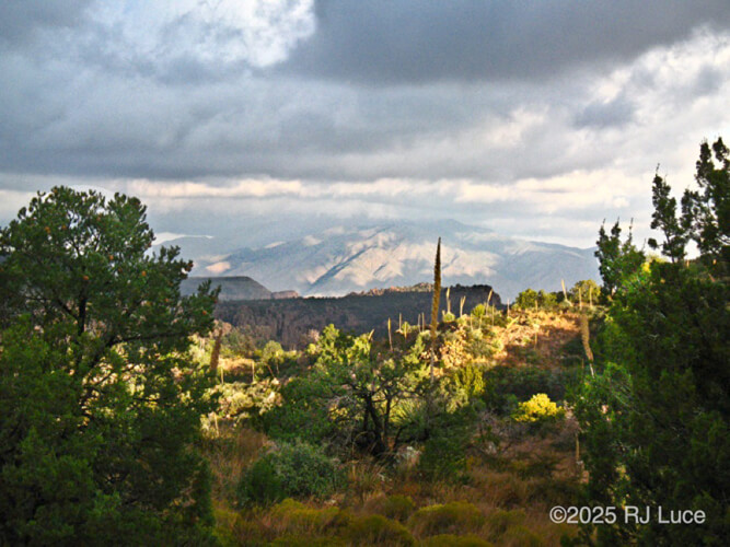 Mazatzal Wilderness, Arizona