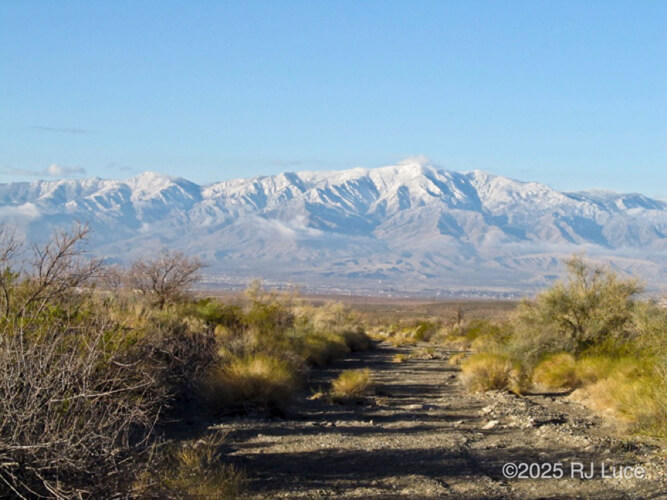 Mt Graham, Pinaleno Mountains, Arizona