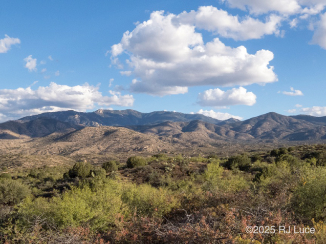 Santa Teresa Wilderness, Arizona